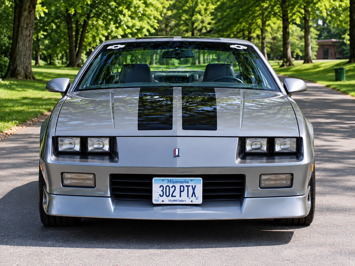 Harvest Culture Camaro, front view
